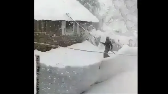 برف لاهیجان را فرا گرفت + فیلم