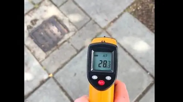 فیلم/ تفاوت دمایی که سایه‌ی یک درخت به تنهایی می‌تونه ایجاد کنه 