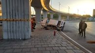 ارابه مرگ در میدان مادر قزوین شناسنامه راننده را باطل کرد/ عکس