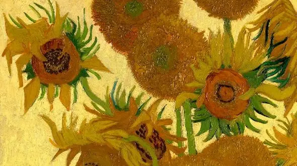 فلسفه گل آفتابگردان در آثار ونگوگ؛ از رنگ‌ ها تا احساسات