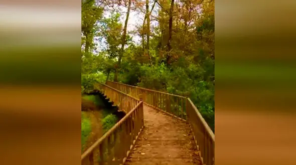 تالاب جوکندان در گیلان را ببینید + فیلم 