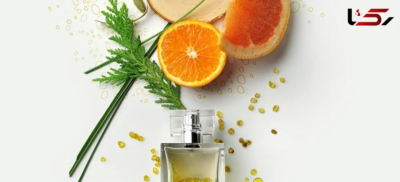 تفاوت عطر ادوپرفیوم با ادوتویلت و ادکلن/ماندگاری عطر روی کدام پوست بیشتر است؟
