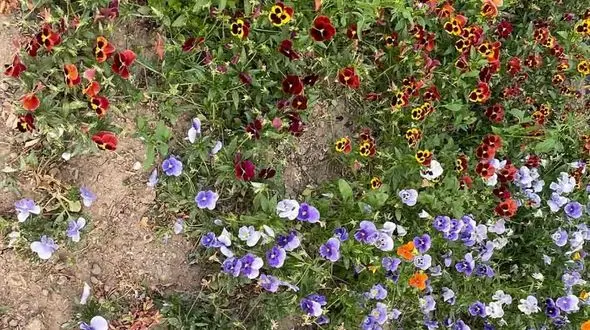 فال ابجد امروز / 12 اردیبهشت + فیلم