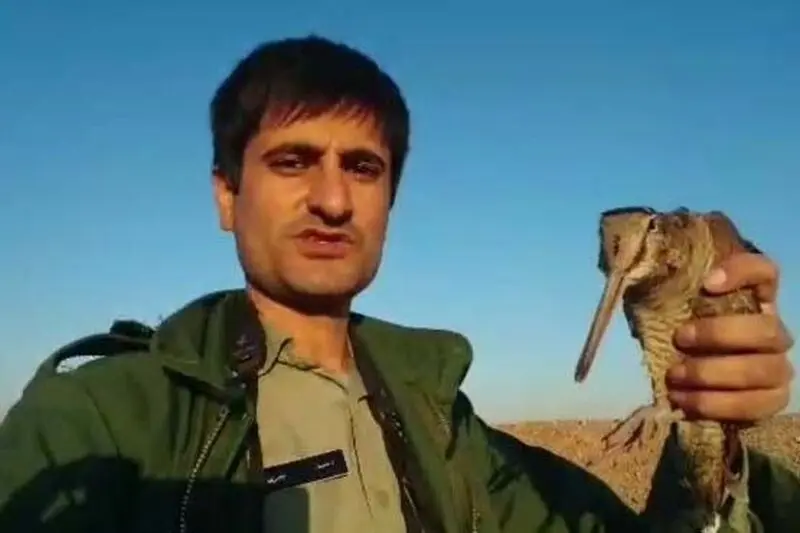 محیط