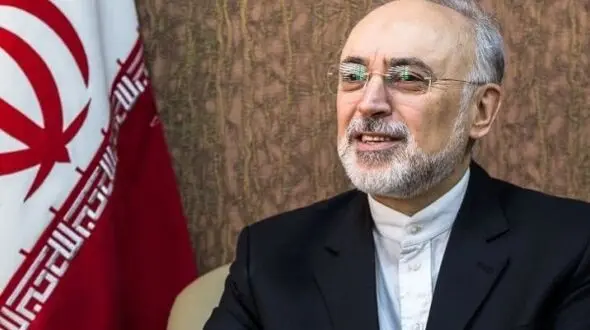 پیام تبریک رئیس سازمان انرژی اتمی به مناسبت سال نو