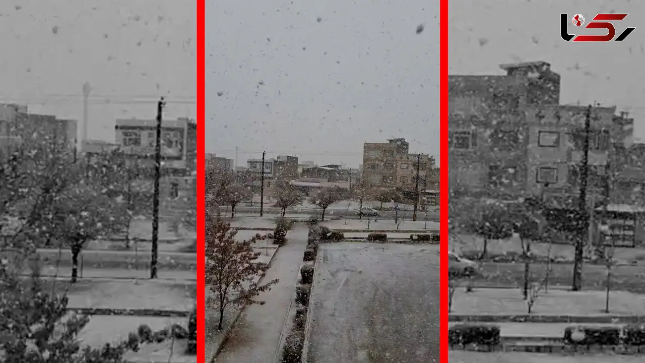 فیلم بارش برف در الیگودرز لرستان