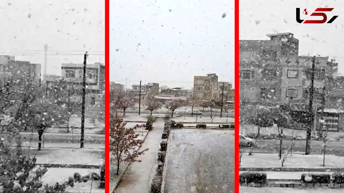 فیلم بارش برف در الیگودرز لرستان