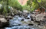 ببینید / نماهنگ بی کلام و آرامش بخش از طبیعت استان چهارمحال و بختیاری + فیلم 