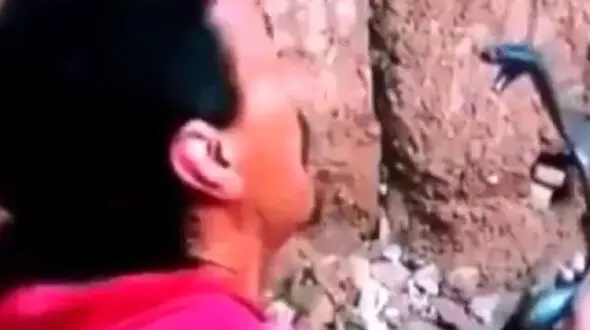 چندش آورترین شیوه مارگیری/کله مار کبری را در دهانش جا داد + فیلم