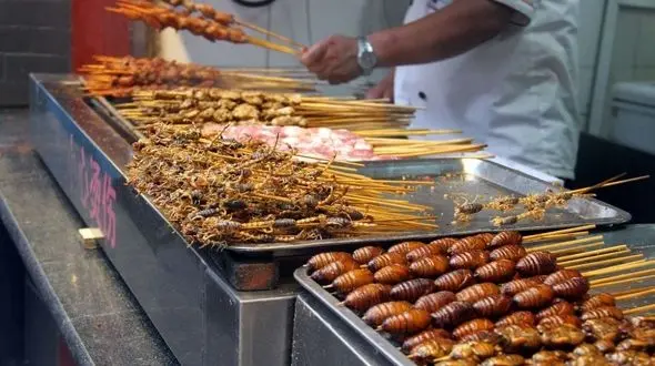 سوسک و عقرب کباب در خیابان معروف +عکس
