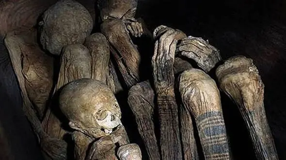 کشف دستگاه خالکوبی ۲ هزار ساله+عکس

