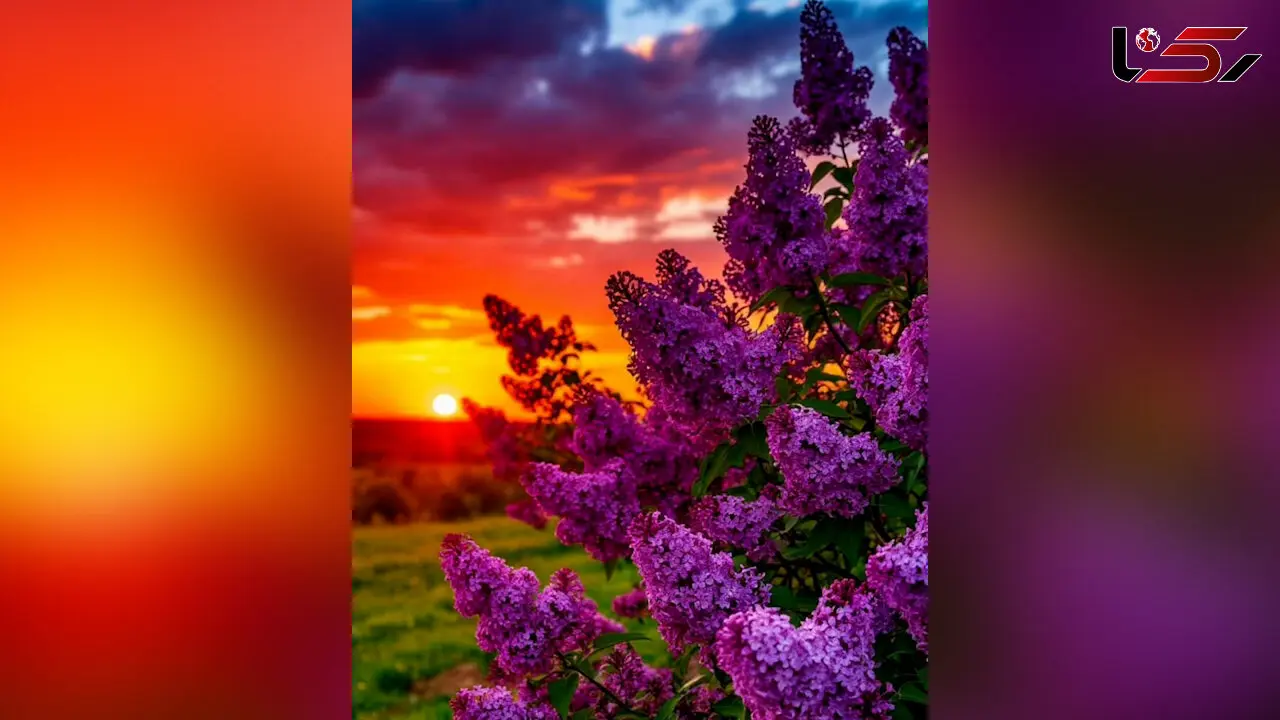فال ابجد امروز شنبه 9 اسفند 1404