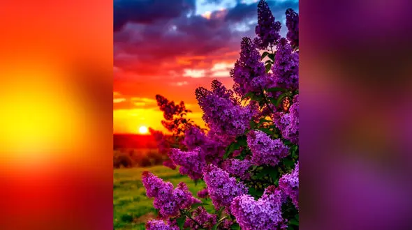 جملات مثبت و انگیزشی + فیلم