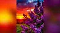 فال ابجد امروز شنبه 9 اسفند 1404