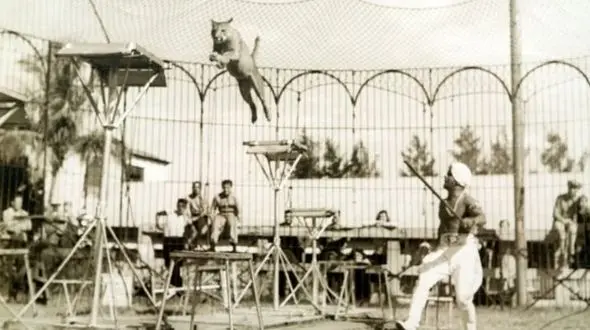 مردی که شجاعت را معنا کرد+تصاویر