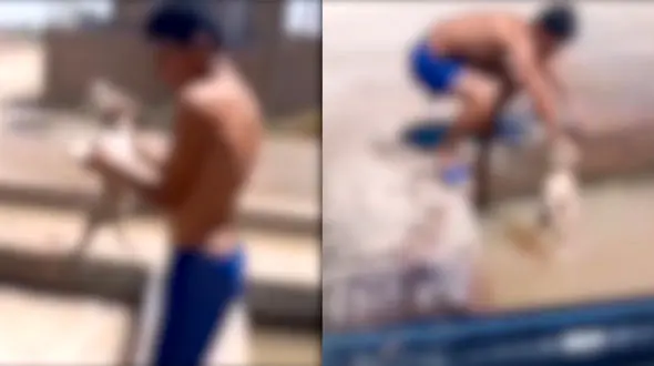 فیلم سگ آزاری وحشتناک توسط جوان سنگدل / پلیس فتا دست به کار شد