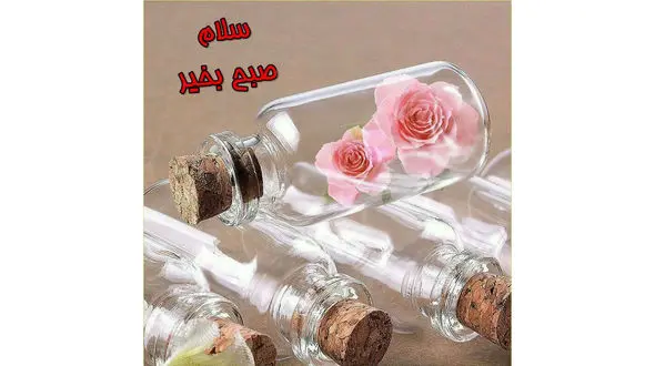 فال روزانه شخصی/ 30 تیر ماه + فیلم