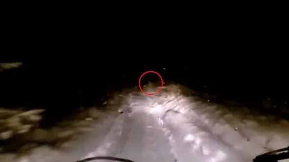 مشاهده موجود افسانه ای یتی در جاده یخی +فیلم