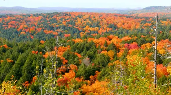 ببینید / آهنگ پاییز با صدای حجت اشرف زاده + فیلم 