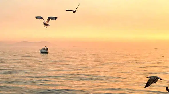 فال حافظ امروز 16 آذر 