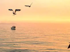 فال حافظ امروز 16 آذر 