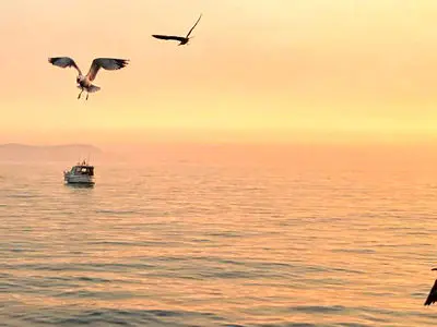 فال و طالع بینی امروز 21 اسفند 