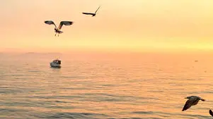 فال و طالع بینی امروز 21 اسفند 