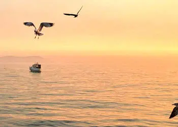 فال حافظ امروز 16 آذر 