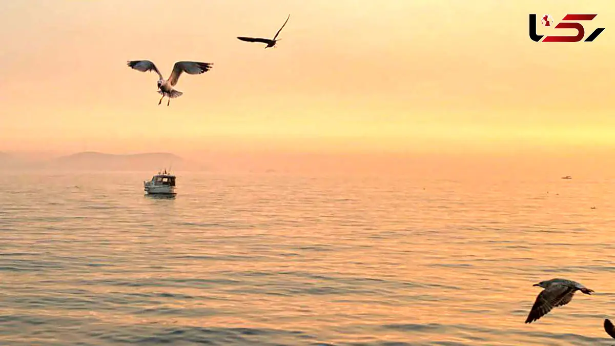 فال حافظ امروز 16 آذر 