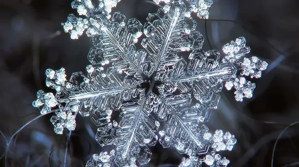 برف پاییزی از شمال تا شمال‌ غرب ایران