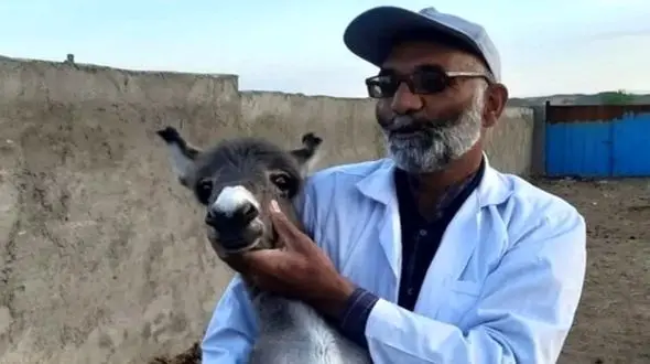 فیلم آواز شاد  برای سلطان پرورش خر ایران / کیک تولدش خر مزرعه سم طلاست فقط آهنگش !