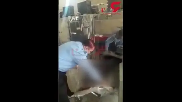 جزئیات قتل هولناک جوان مهابادی از زبان دادستان و رییس پلیس + فیلم و عکس