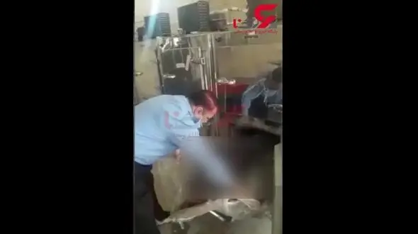 جزئیات قتل هولناک جوان مهابادی از زبان دادستان و رییس پلیس + فیلم و عکس