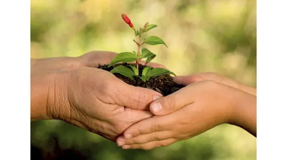 تاثیر زنان در حفاظت و تخریب محیط زیست