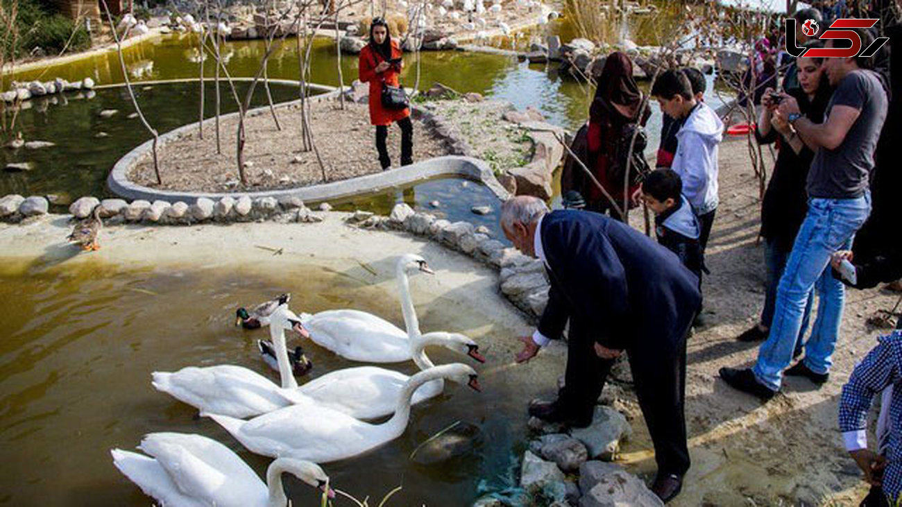 پشت پرده های فاجعه آمیز باغ پرندگان تهران + عکس