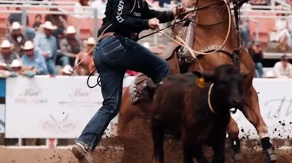 از مسابقات ماشین حساب ذهنی تا گرفتن گاو