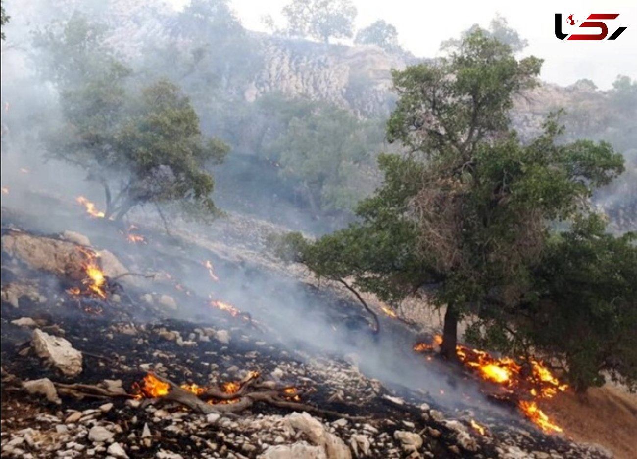 کوه های خامی گچساران در میان آتش / باد شدید و مسیر صعب العبور مانع بزگ اطفای حریق