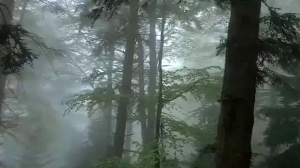 پنجشنبه خوبی داشته باشید