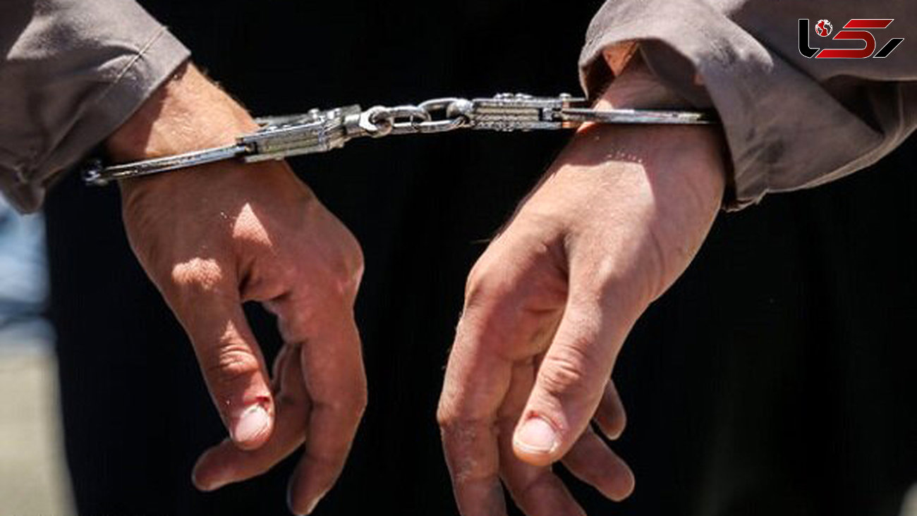 دستگیری قاچاقچیان داروهای اعتیادآور جنسی