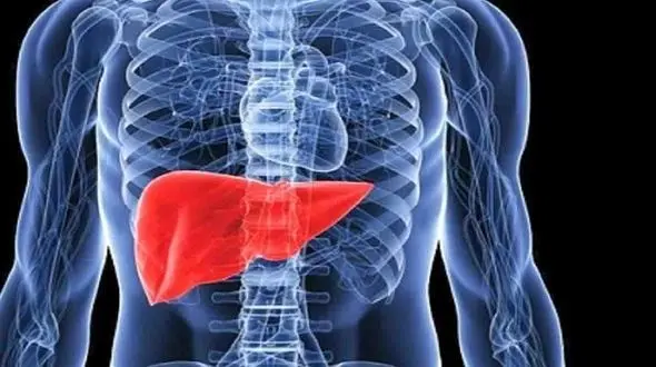 پاکسازی کبد با چه خوراکی هایی ممکن است؟
