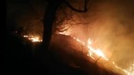 آتش سوزی در ارتفاعات جنگلی نوشهر