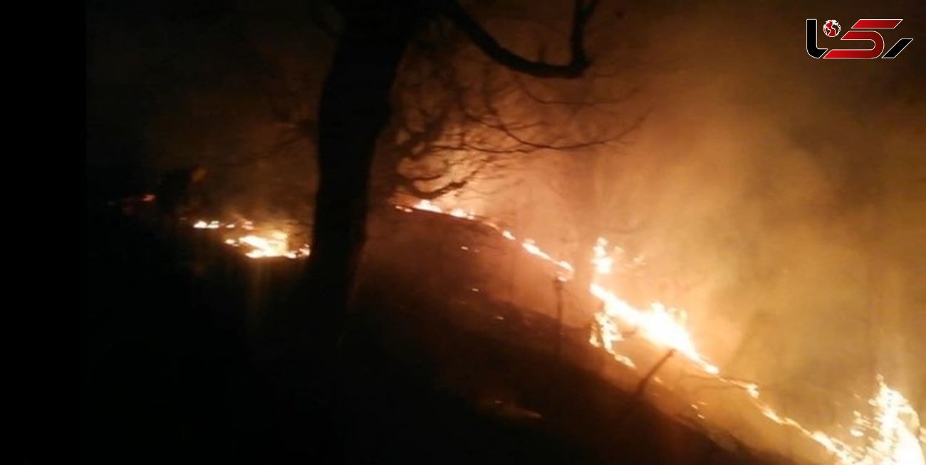 آتش سوزی در ارتفاعات جنگلی نوشهر