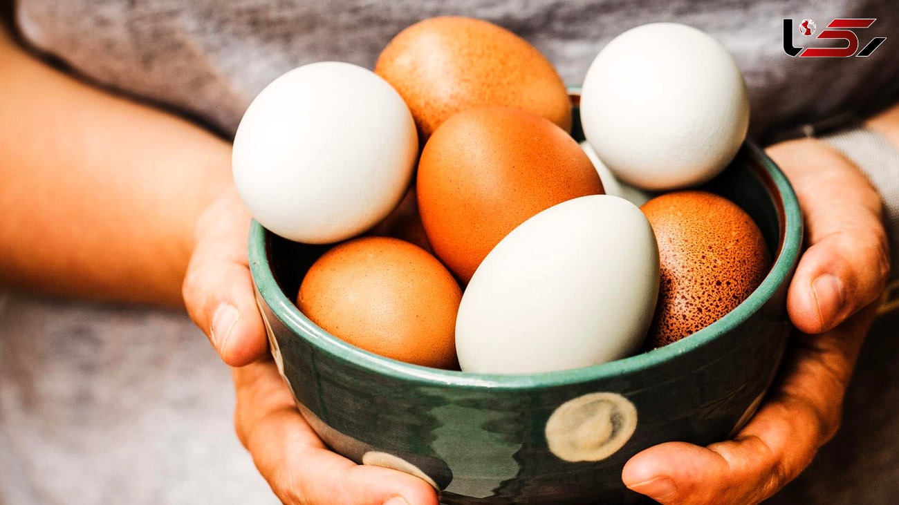 چند تخم مرغ در هفته می توان خورد؟