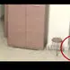 فیلمی حیرت آوری که پدر با نصب دوربین از اتاق خواب دخترش گرفت / دختر بی اعتنا بود / مخصوص بزرگسالان
