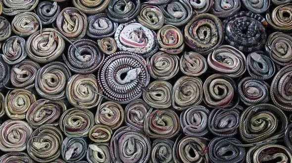 تبلیغ عجیب و خشن از چکمه پوست ماری!