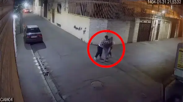 فیلم تکرار یک سرقت وحشیانه و بی رحمانه ! / حمله زورگیران به یک زن و کودک  در شوش تهران ! / خودشان خانواده ندارند ؟