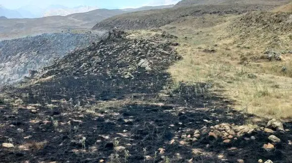 آتش حدود 10 هکتار از مراتع بام ایران را خاکستر کرد