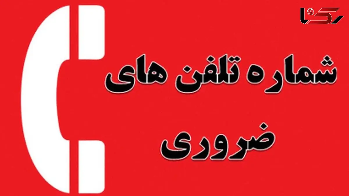 شماره های ضروری که هیچ کس نمیدونه