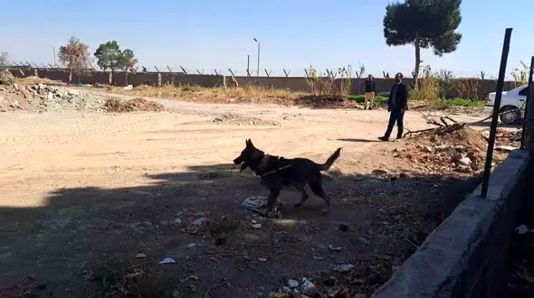 فیلم تجسس های سگ های پلیس در صحنه قتل داریوش مهرجویی و همسرش !