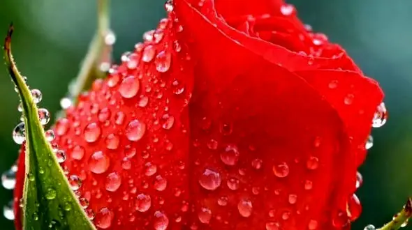 فال و طالع بینی روزانه 30 فروردین 1405